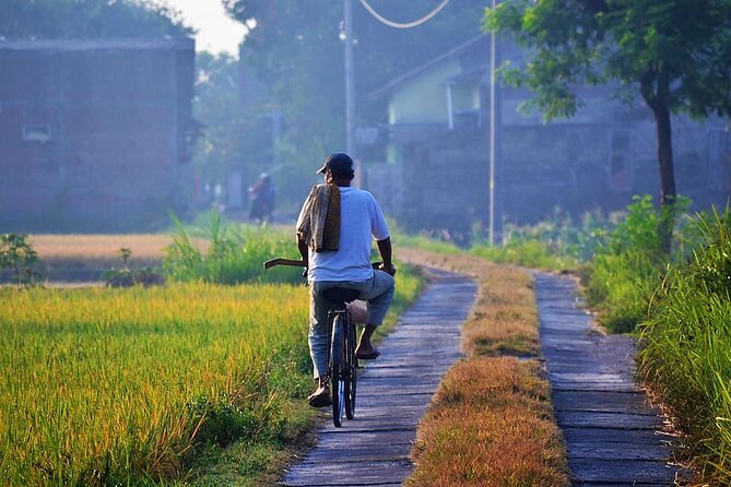 Cycling Tour in Yogyakarta with Lunch 3-Hour - Small-Group Size: What Max 15 People Means for Your Day