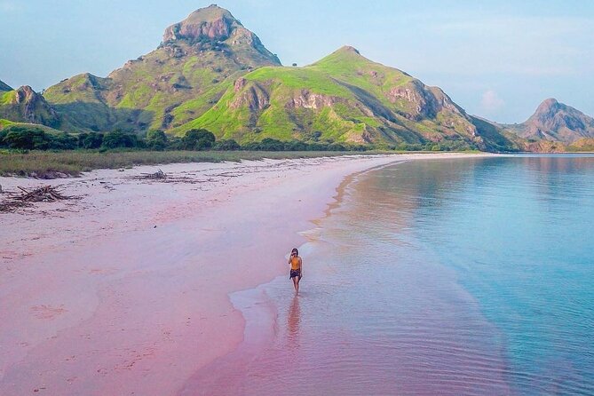 Daily Trip Highlight Komodo Archipelago by Speed Boat - Labuan Bajo to Komodo: what a 12-hour speedboat day really delivers