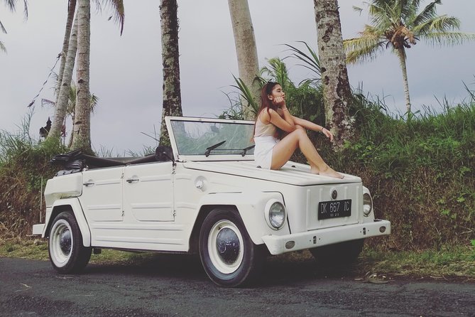 Daily VW Tour - Ubud VW Tour - Quick hits
