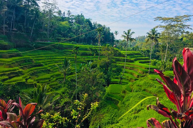 Day Tour with Sunrise and waterfall - Penglipuran village and its bamboo forest back side