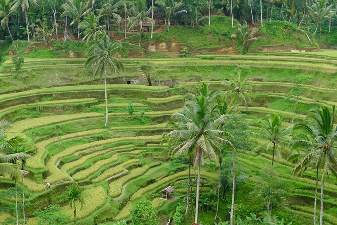 Day Tour with Sunrise and waterfall - Price and value: what $84 per group covers (and what doesn’t)