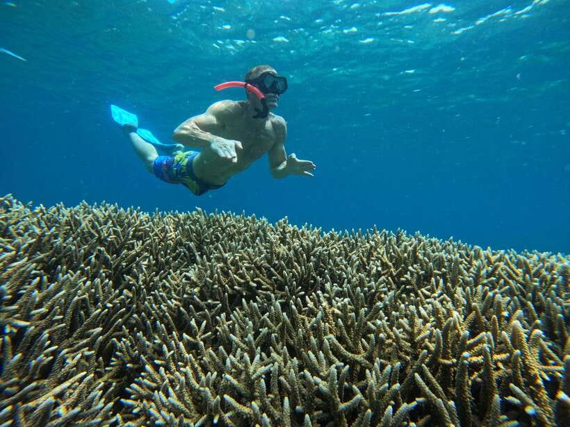 Day Trip 3 Secret Gilis in West South Of Lombok - Gili Nanggu snorkeling: where the day’s best reef time usually happens