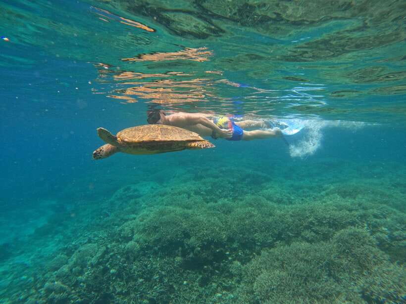 Day Trip 3 Secret Gilis in West South Of Lombok - Price and value: what $74 includes (and why that matters)