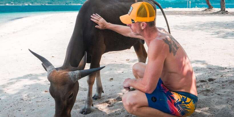 Day Trip 5 Secret Giilis in West South of Lombok - Why This West Lombok Gili-Run Feels Different