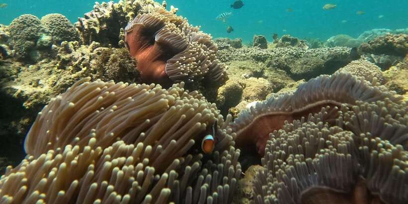 Day Trip 5 Secret Giilis in West South of Lombok - Picking Up From Lombok: Transport That Saves Your Morning