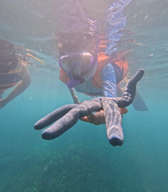 Day Trip 5 Secret Giilis in West South of Lombok - Dermaga Tawun: Starting Your Snorkel Rhythm