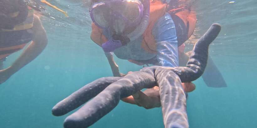 Day Trip 5 Secret Giilis in West South of Lombok - Gili Nanggu: Calm Snorkeling Away From Crowds