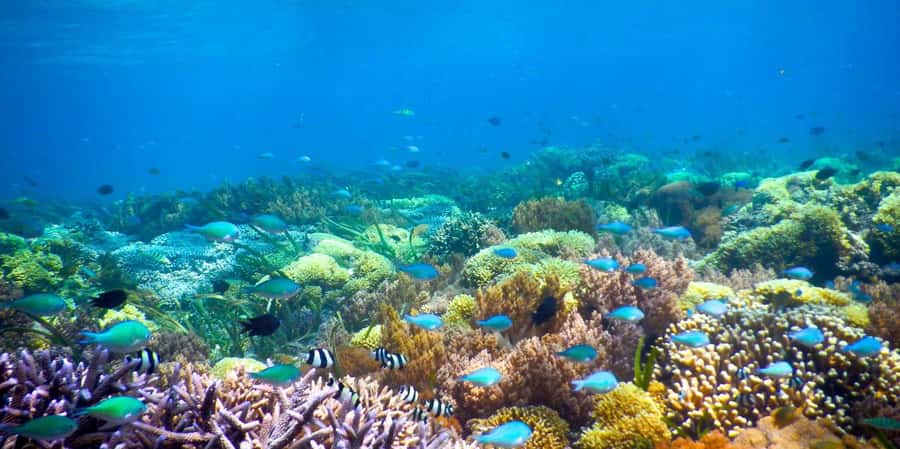 Day Trip Gili Nanggu,Kedis&Sudak With Pick Up - Key Highlights Worth Your Attention