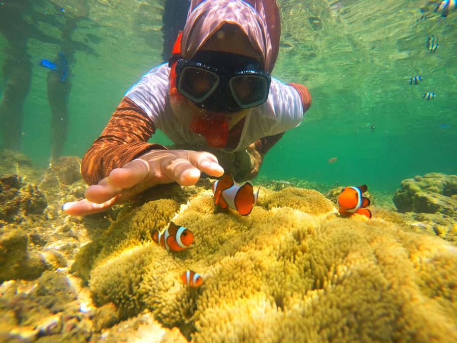 Day Trip Gili Nanggu,Kedis&Sudak With Pick Up - Gili Nanggu: White Sand, Clear Water, and a Real Beach Start