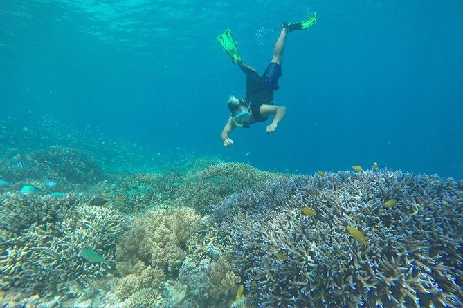 Day Trip Gili Trawangan, Gili Meno, Gili Air (Depart Lombok) - Price and logistics: what $97 covers, and what can cost extra