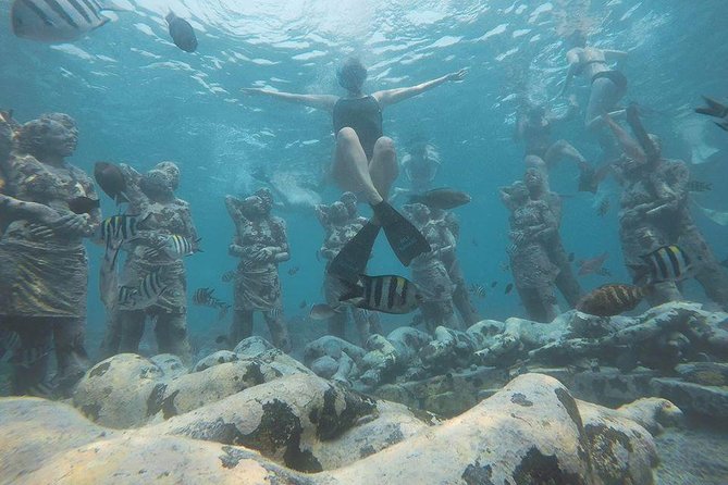 Day Trip Gili Trawangan, Gili Meno, Gili Air (Depart Lombok) - Gili Air Fish Garden: first snorkel stop, lots of fish energy