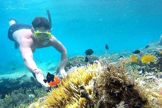 Day Trip Secret Island West Of Lombok - Key highlights at a glance