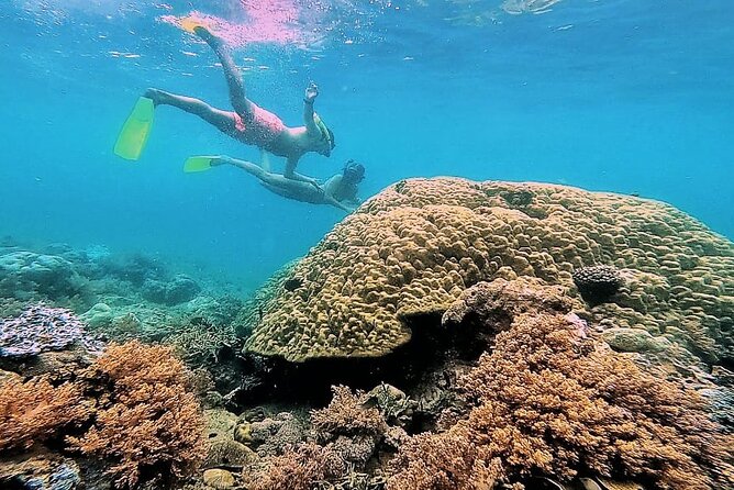 Day Trip Secret Island West Of Lombok - Stop 1: Gili Gede coral reefs in quieter waters