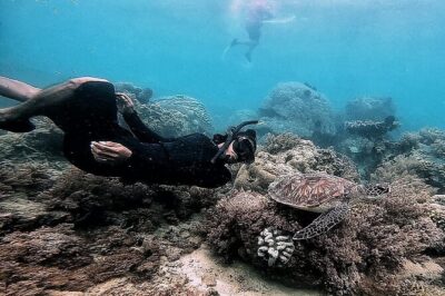 Day Trip Secret Island West Of Lombok - Price and what $125 per group really buys you