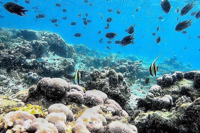 Day Trip Secret Island West Of Lombok - Stop 3: Gili Rengit’s clear water and quiet waves
