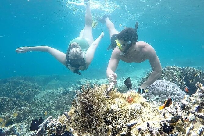 Day Trip Secret Island West Of Lombok - Stop 4: Gili Asahan in greenish waters with reef life