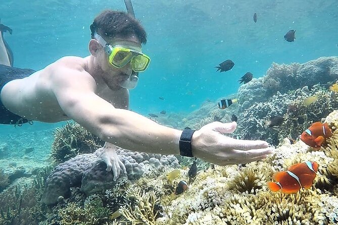 Day Trip Secret Island West Of Lombok - What to do between stops so the day stays fun
