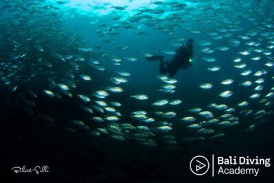 Day Trip Snorkeling in Tulamben - Explore Liberty Wreck (pick up in South Bali) - Getting there from South Bali: the 7-hour rhythm that actually matters
