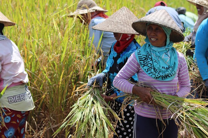 Day with a Balinese Family in a Village - Key highlights you’ll actually use