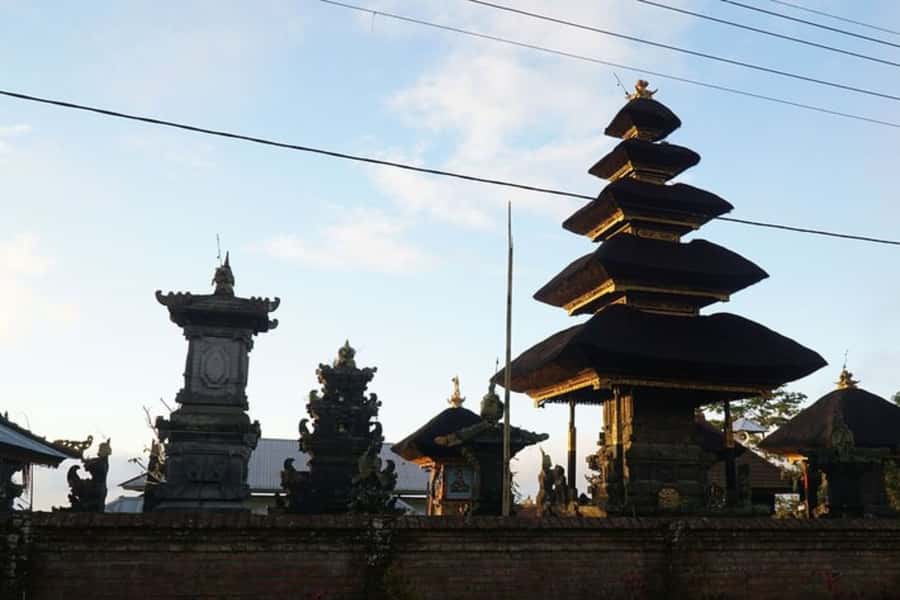 Denpasar: Private custom tour with a local guide - Transport choices: walking first, public transport as a tool