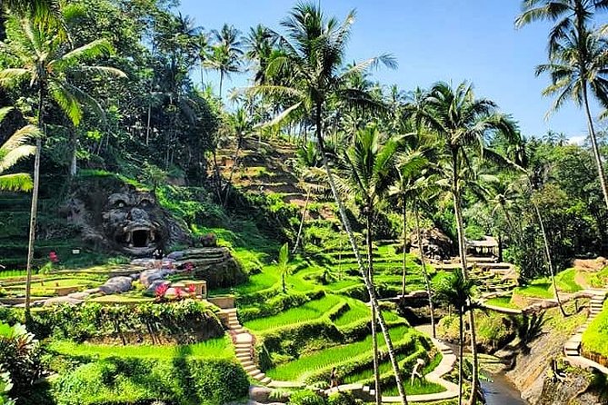 Design Your Own Bali Tour - Sample day ideas you can ask for (no fixed itinerary)
