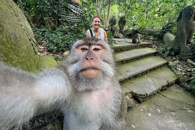 Discover Bali Best Tours: Tanah Lot, Monkey Forest, and Waterfall - Tegenungan Waterfall: Jungle Walk, Swim-Friendly Pool