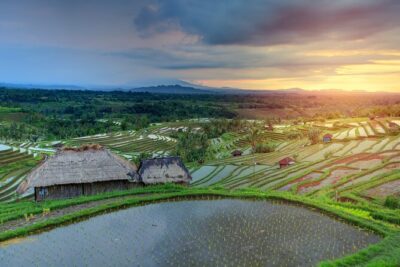 Discover Hidden Waterfall, Unesco Rice Terraces and Mountain Temple - Morning pickup and an AC ride out of Ubud