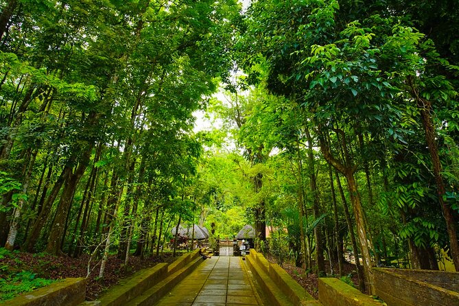 Discover Hidden Waterfall, Unesco Rice Terraces and Mountain Temple - Stop 2: Jatiluwih UNESCO rice terraces and how irrigation makes it work