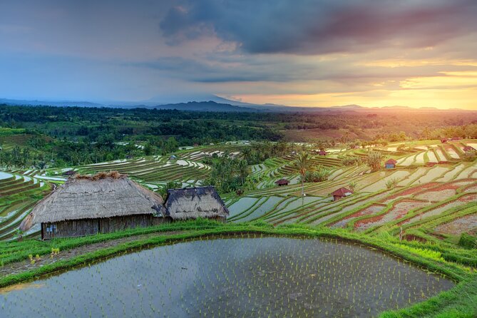 Discover Hidden Waterfall, Unesco Rice Terraces and Mountain Temple - Morning pickup and an AC ride out of Ubud