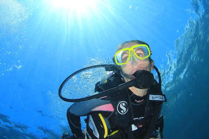 Discover Scuba Diving - Coral Garden vs the USAT Liberty shipwreck: your first open-water session