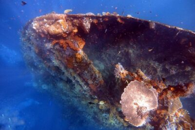 Discover Scuba Diving - Welcome tea, rules, and the pool session that builds confidence