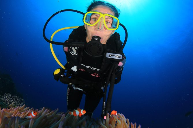 Discover Scuba Diving - Gear, towels, water, fruits, and the photos you actually want