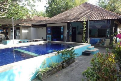 Discover Scuba Diving and dive in Menjangan Island Marine Park 2 dives - The Two Options for Pool Training: Choose the Right Fit