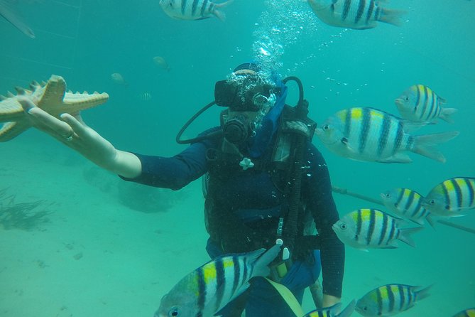 Discover Scuba Diving ( beginners) Combined With Jet Ski - Your First Scuba Session: What happens before you go underwater