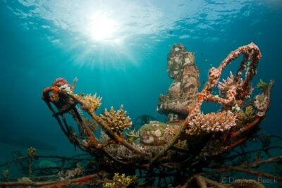 Discover Scuba Diving in Pemuteran at the Biorock site,1 shore dive all included - The instructor matters: what I’d expect from this team