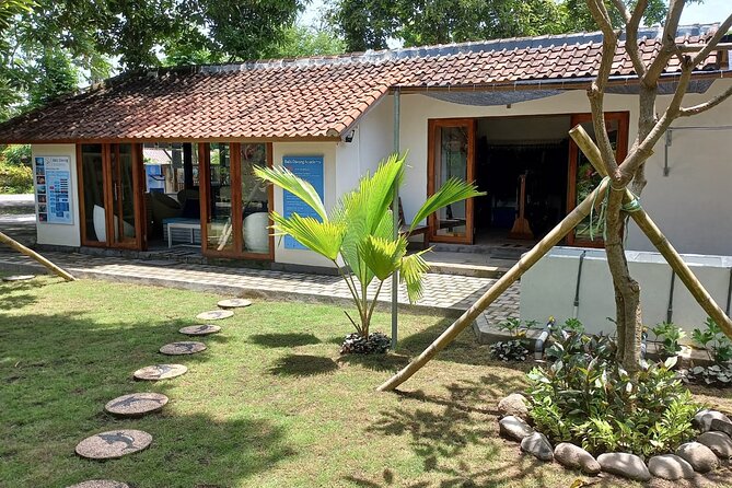 Discover Scuba Diving in Pemuteran at the Biorock site,1 shore dive all included - Stop 1: Biorock shore time—what you’ll likely see and why it’s memorable