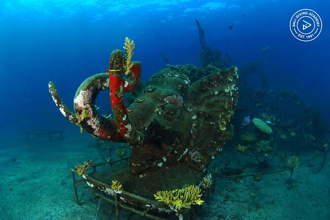 Discover Scuba Diving in Pemuteran at the Biorock site,1 shore dive all included - Who this program is best for (and who should consider another option)
