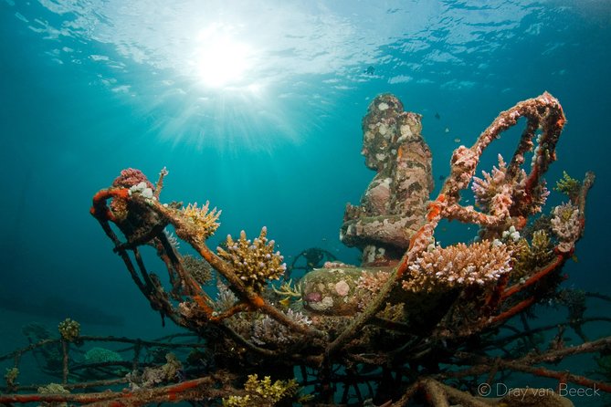 Discover Scuba Diving in Pemuteran at the Biorock site,1 shore dive all included - The instructor matters: what I’d expect from this team