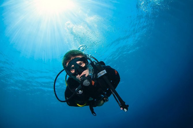 Discover Scuba Diving in Pemuteran - Diving Initiation in Bali (Menjangan Park) - Menjangan National Park underwater sessions: what you’re really signing up for