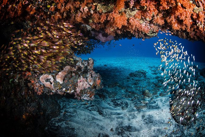 Discover Scuba Diving in Tulamben - Diving Initiation in Bali best diving sites - How the Instructor Experience Makes or Breaks This Course