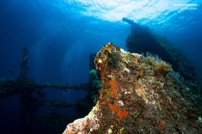 Discover Scuba Diving in Tulamben - Diving Initiation in Bali best diving sites - Photos and Digital Souvenirs: Worth It or Skip It?