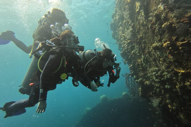Discover Scuba Diving Tulamben Bali For Non-Certified Divers - Price and value: what you’re paying for at $206.48