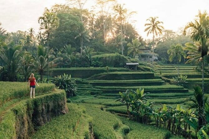 Discover The Best North of Bali with Private Guide Tour - Key highlights worth planning for