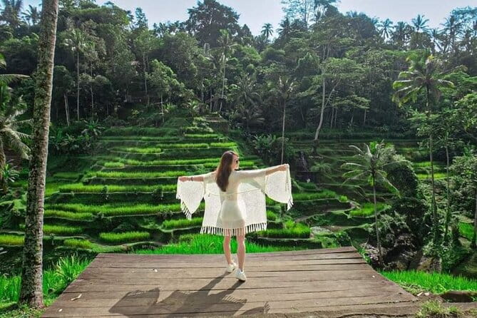 Discover The Best North of Bali with Private Guide Tour - Why the guide makes or breaks the day: Agung and Mr. Wayan Sidiarta in the spotlight
