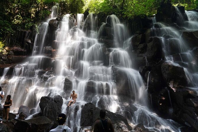 Discover the best waterfalls in Ubud and rice terraces tour - Tegalalang Rice Terrace: traditional activity you can actually watch