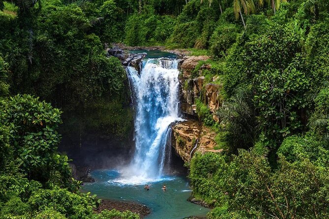 Discover Ubud: Exotism Ubud and Optional Meet the Bali Shaman - Private transport with Wi‑Fi and hotel pickup in key areas