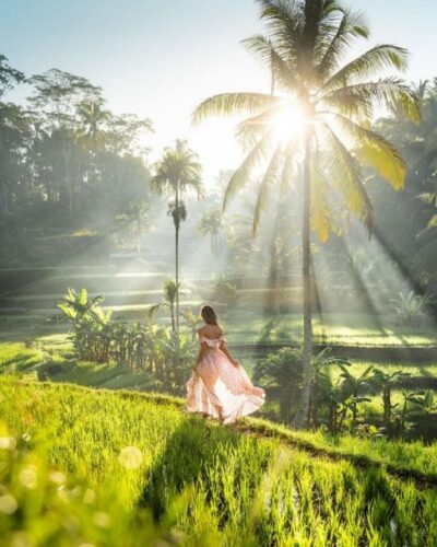 Discover Ubud: Tailored Private Tour with Top Highlight - Monkey Forest, Ubud Center, and Artisan Stops That Feel Like Real Life