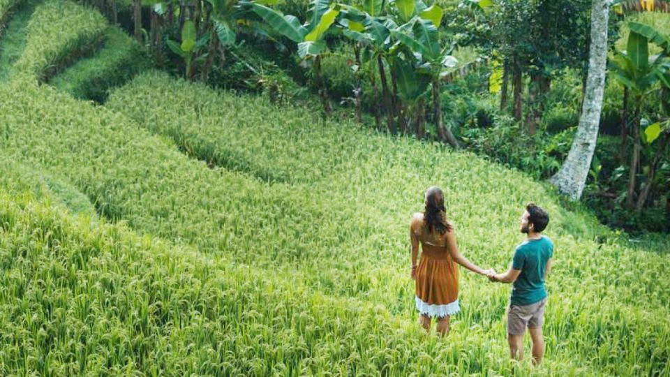 Discover Ubud: Tailored Private Tour with Top Highlight - Price and Value: Why $26 Can Be a Deal (and When It Isn’t)