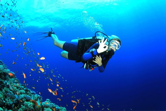 Dive at Tulamben Bali USS Liberty Ship Wreck - Stop 2: USS Liberty shipwreck—two underwater sessions on WWII metal