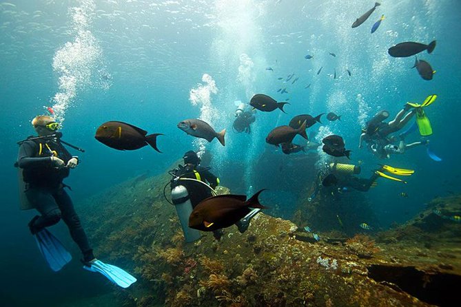 Dive at Tulamben Bali USS Liberty Ship Wreck - Lunch, water, and rentals: the stuff that keeps the day enjoyable